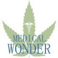 Quels sont les effets du cannabis sur le cerveau ?