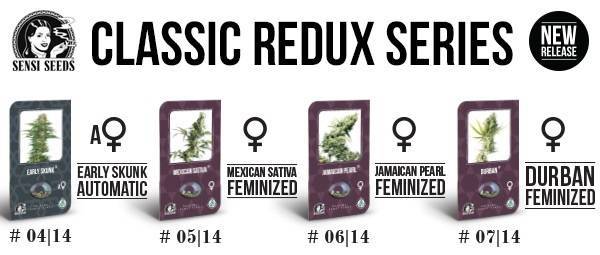 Classic Redux Serie Sensi Seeds