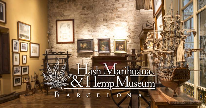 Hanf Museum Barcelona