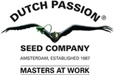 Dutch Passion