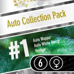 Auto Collection Pack #1 - 6 Graines
