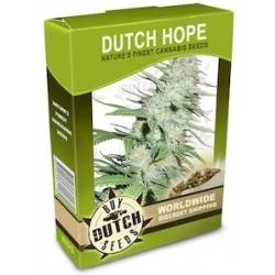 Dutch Hope - 10 Graines