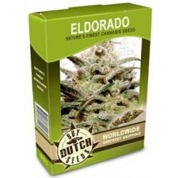 Eldorado - 10 Graines