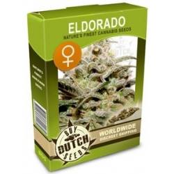 Eldorado Feminsiert - 5 Graines