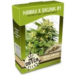 Hawaii x Skunk 1 - 10 Graines