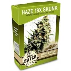 Haze 19x Skunk - 10 Graines