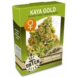 Kaya Gold Feminisiert - 5 Graines