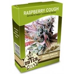 Raspberry Cough - 10 Graines