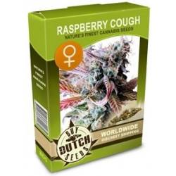 Raspberry Cough Feminisiert - 5 Graines