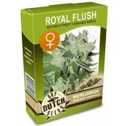 Royal Flush Feminisiert - 5 Graines