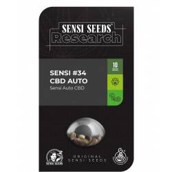 Sensi Automatic CBD (Research Serie) - 10 Graines