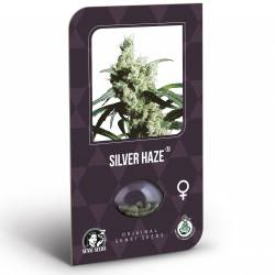 Silver Haze Féminisée (Classic Redux Serie) - 3 Graines