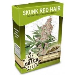 Skunk Red Hair - 10 Graines