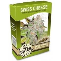Swiss Cheese - 10 Graines